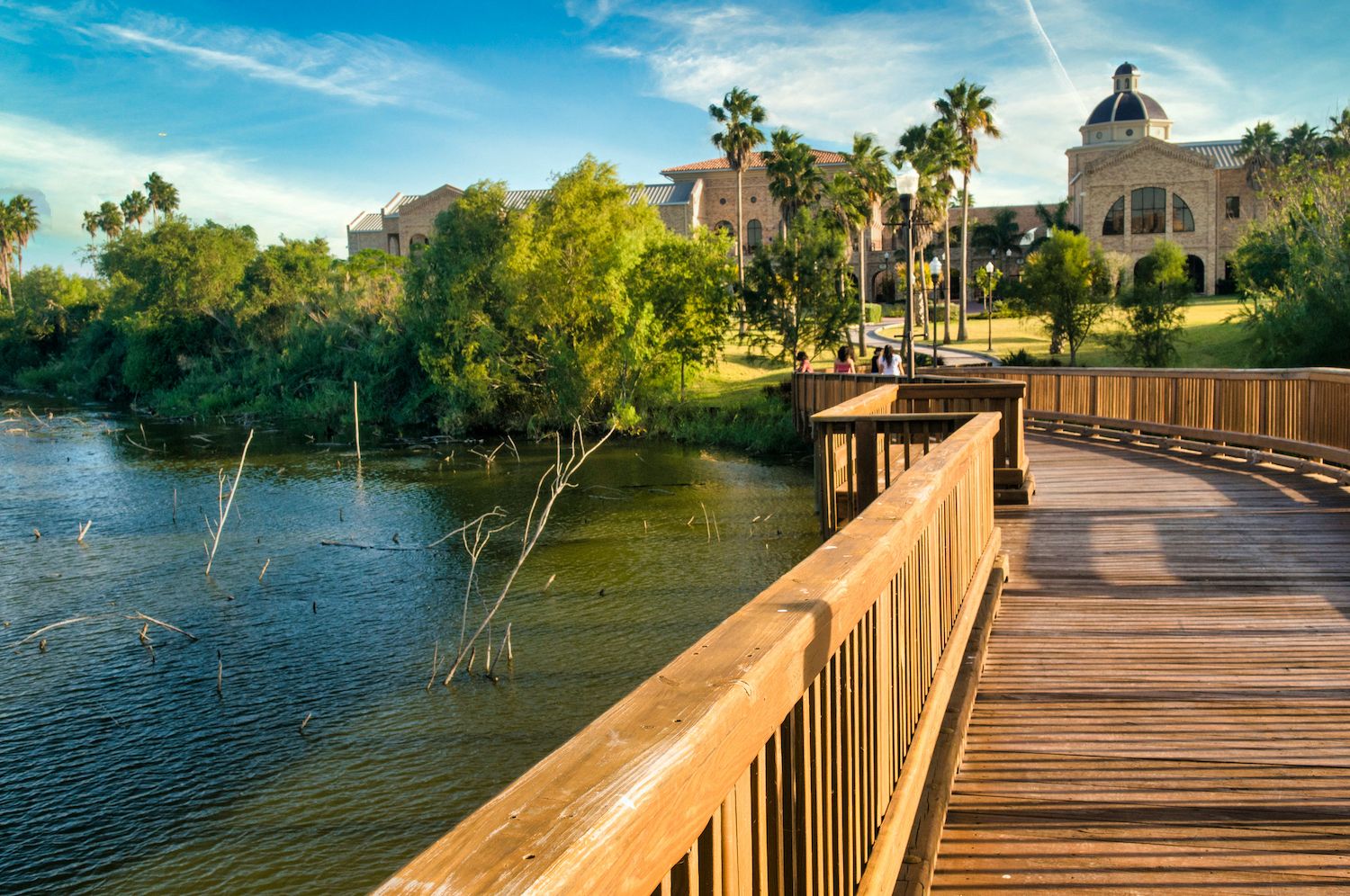 Life Coach en Brownsville (Texas)