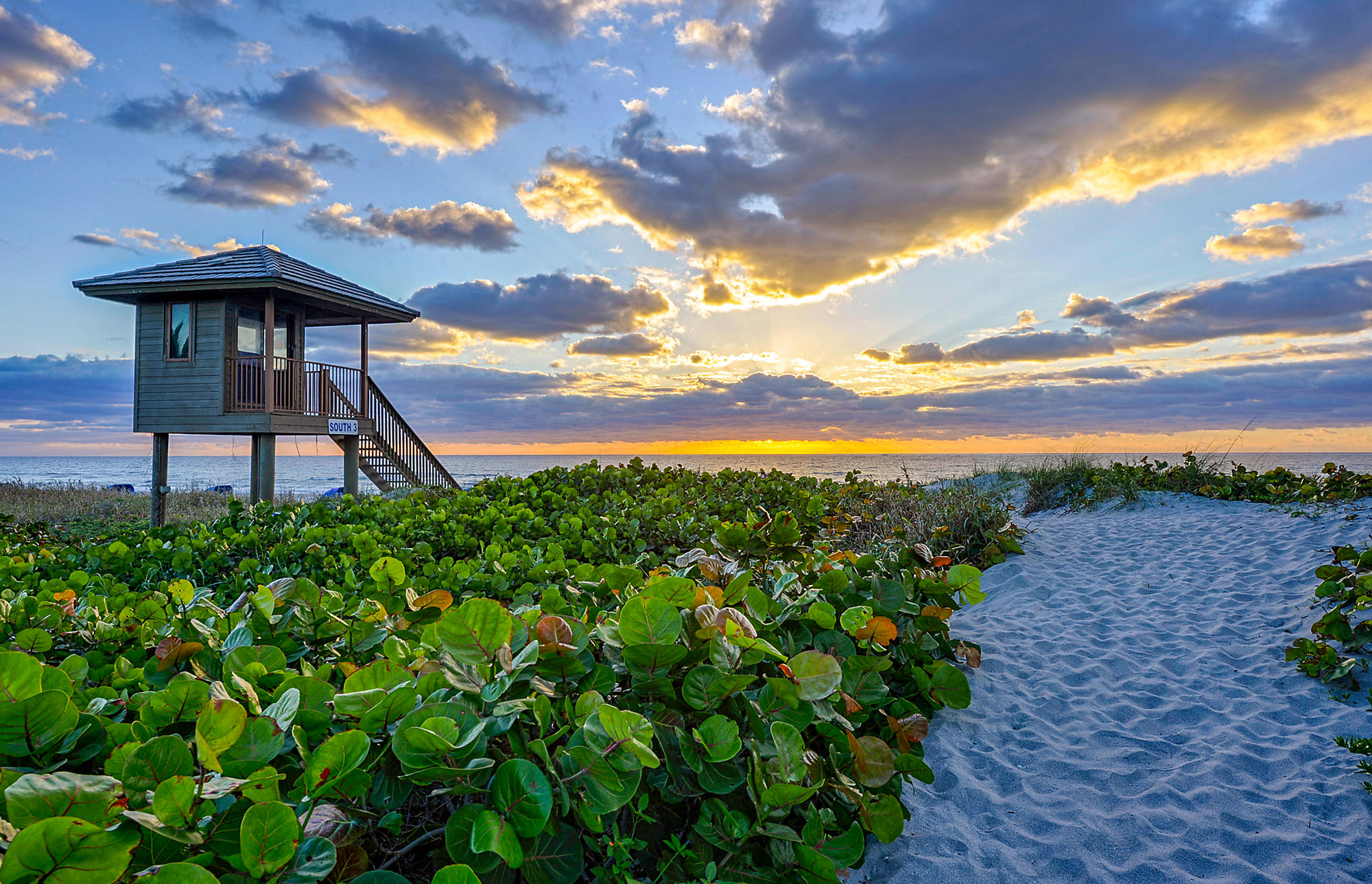 Psicólogos en Delray Beach (Florida)