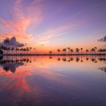 The Matheson Hammock Park